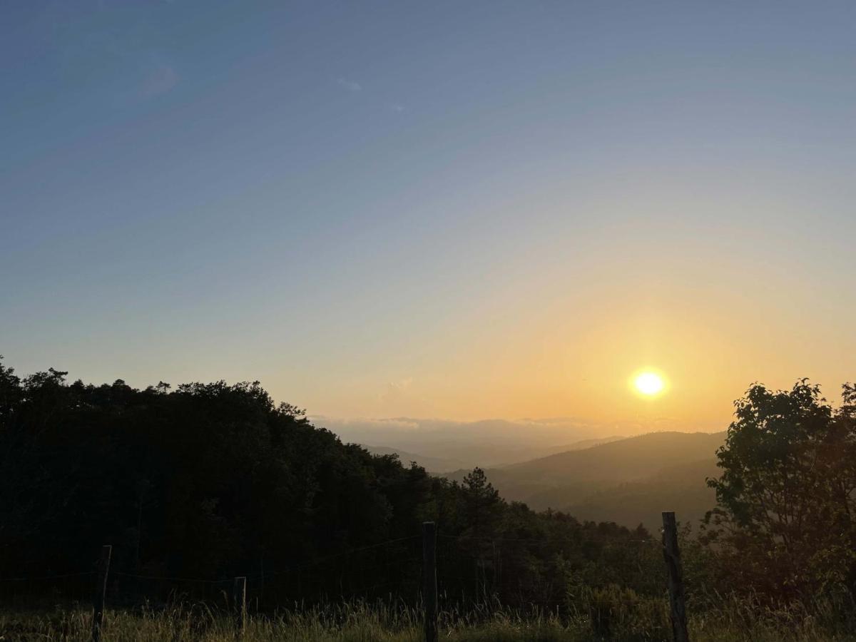 Agriturismo Cascina Cornelli 萨塞洛 外观 照片