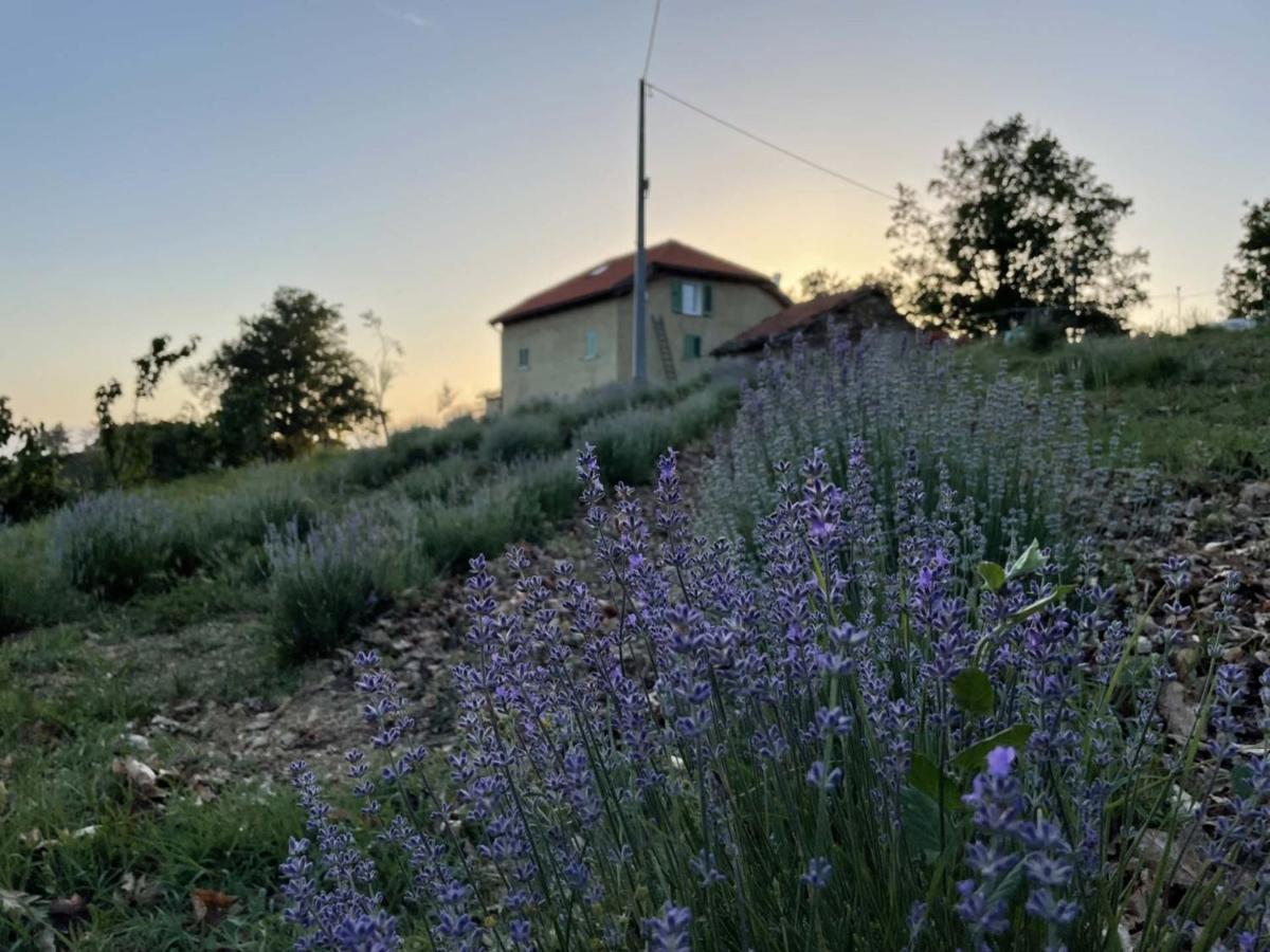 Agriturismo Cascina Cornelli 萨塞洛 外观 照片